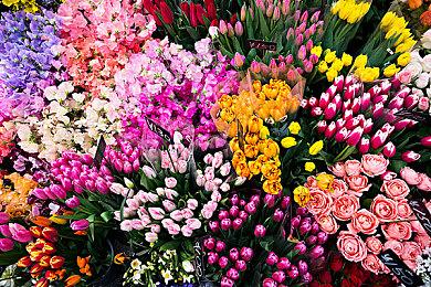 《圣兽之王》全球销量突破50万份！公开荣誉宣传片以表庆贺