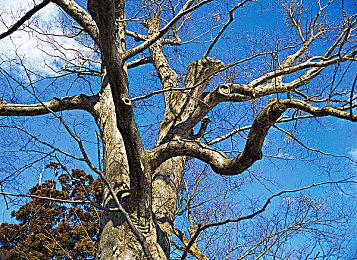 合作逃亡游戏《如何逃脱》面向各大平台公布